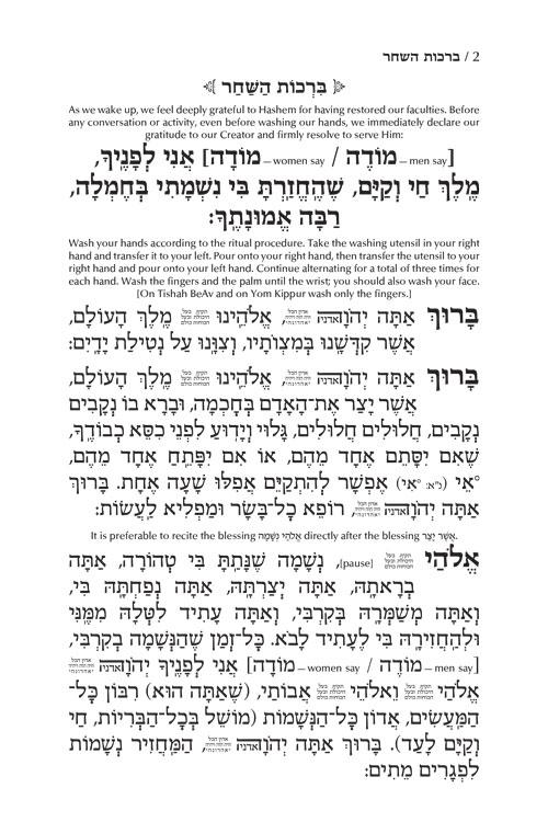 Siddur Tefillah LeDavid: Hebrew-Only: Mid Size – Sephardic/Edot HaMizrach – with English Instructions – תמונה 2