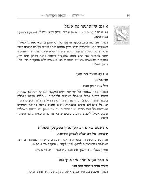 Yiddish – A Holy Language – Gift Size complete in 1 volume – תמונה 5