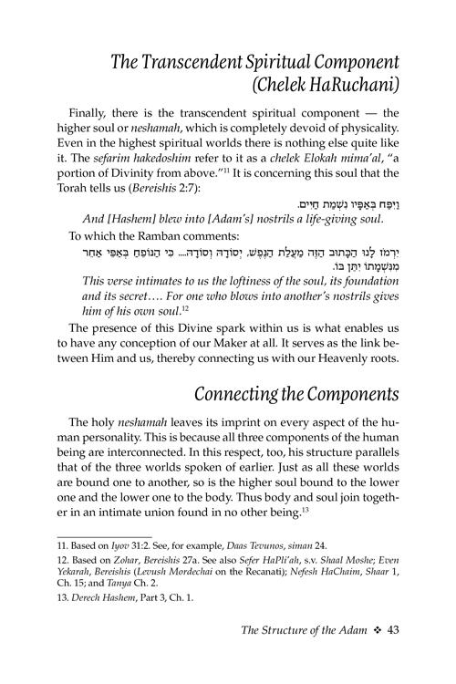 Guiding With Wisdom – תמונה 6