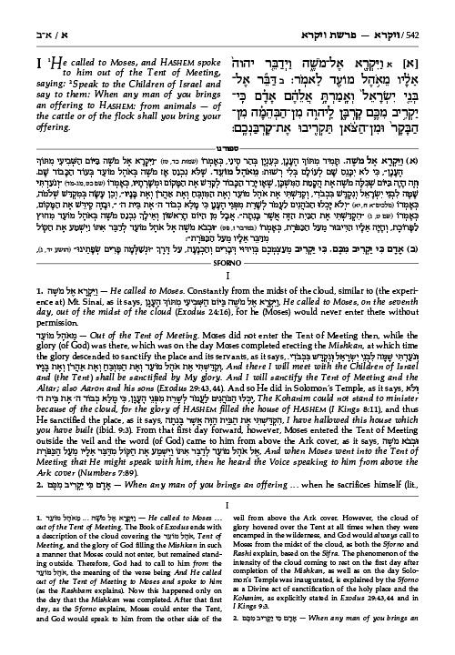 Sforno on Chumash volume 2 – תמונה 2