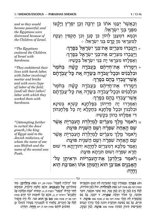 Sh’nayim Mikra V’Echad Targum – Shemos – תמונה 5