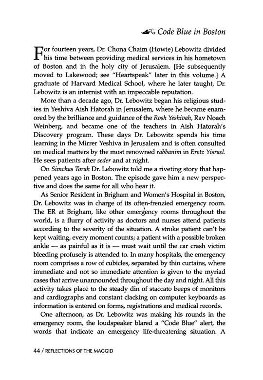 Reflections of the Maggid – תמונה 2