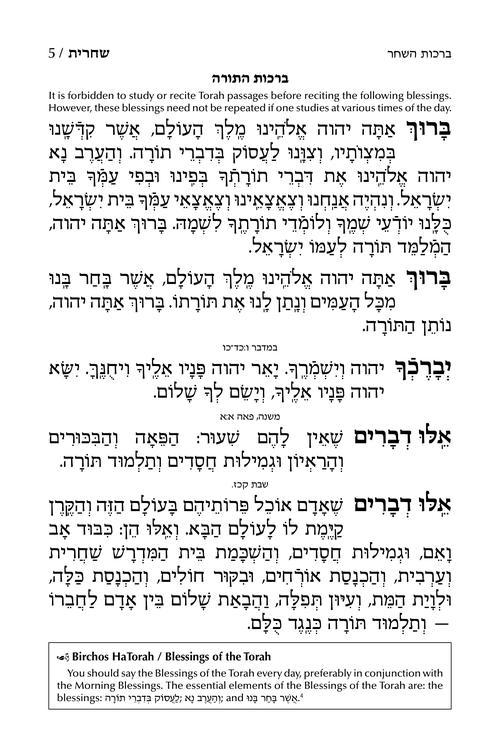 Siddur Shiras Sheina: All Hebrew Women’s Siddur – Ashkenaz with English Instructions – White – תמונה 5