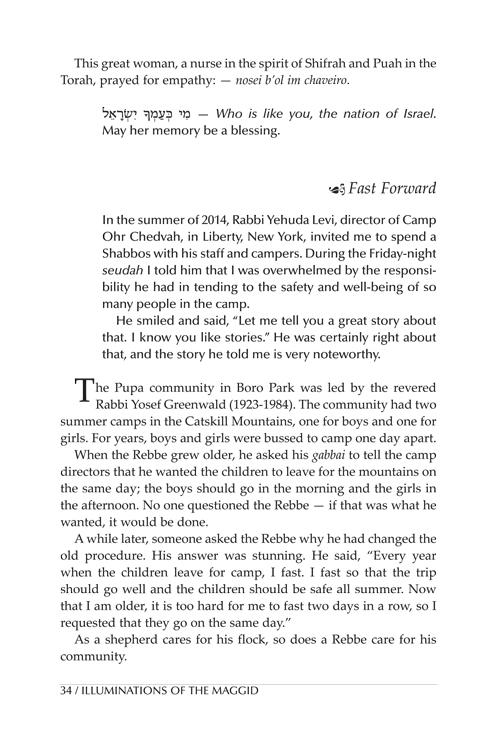 Illuminations of the Maggid – תמונה 11