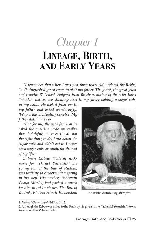 The Klausenburger Rebbe – תמונה 2