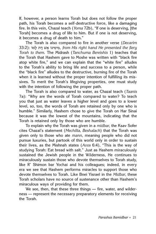 Rav Druck on Chumash – Bamidbar – תמונה 4