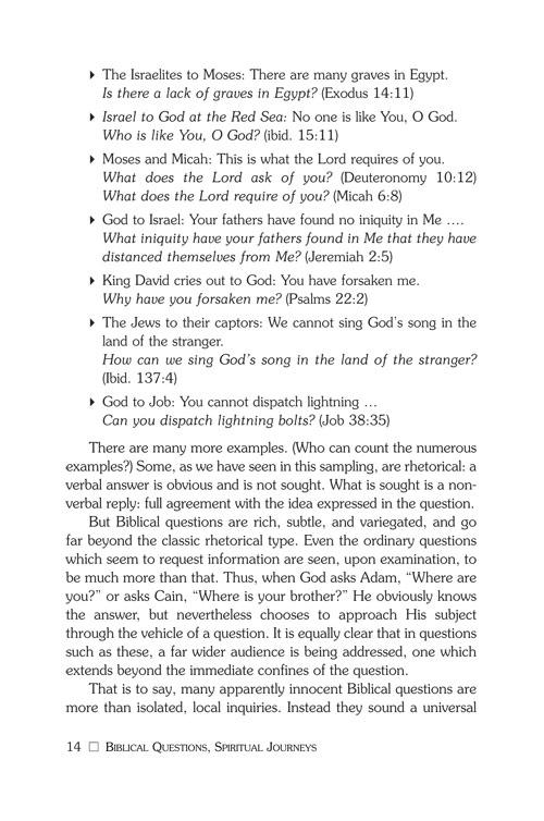 Biblical Questions, Spiritual Journeys – תמונה 3