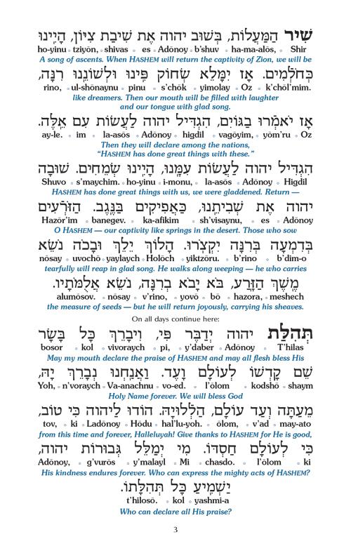 Czuker Edition Bircas HaMazon and Zemiros: Translated and Transliterated – Copper Cover – תמונה 3