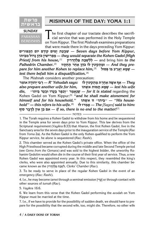 A DAILY DOSE OF TORAH SERIES 2 Vol 01: Weeks of Bereishis through Vayeira – תמונה 4