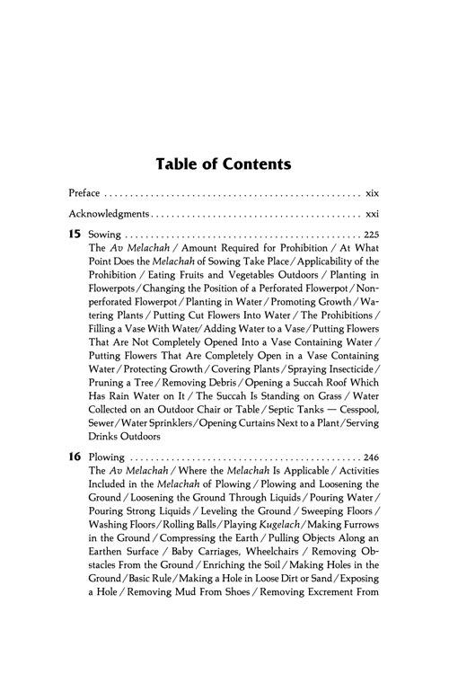 The Shabbos Home Volume 2 – תמונה 12