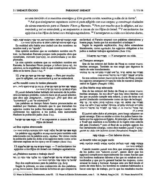 Spanish Edition of Chumash with the Teachings of the Talmud -Wengrowsky Edition – תמונה 5