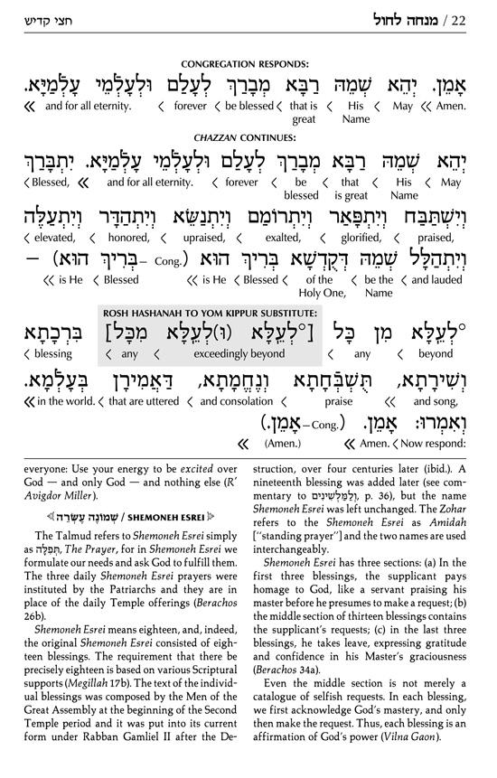 Siddur Interlinear Sabbath & Festivals Pocket Size Ashkenaz Schottenstein Ed – Signature Leather – Black – תמונה 11