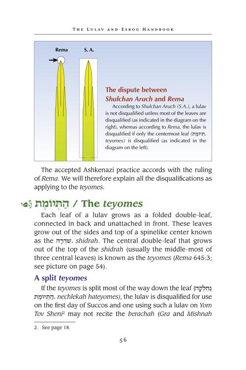The Lulav and Esrog Handbook – תמונה 7
