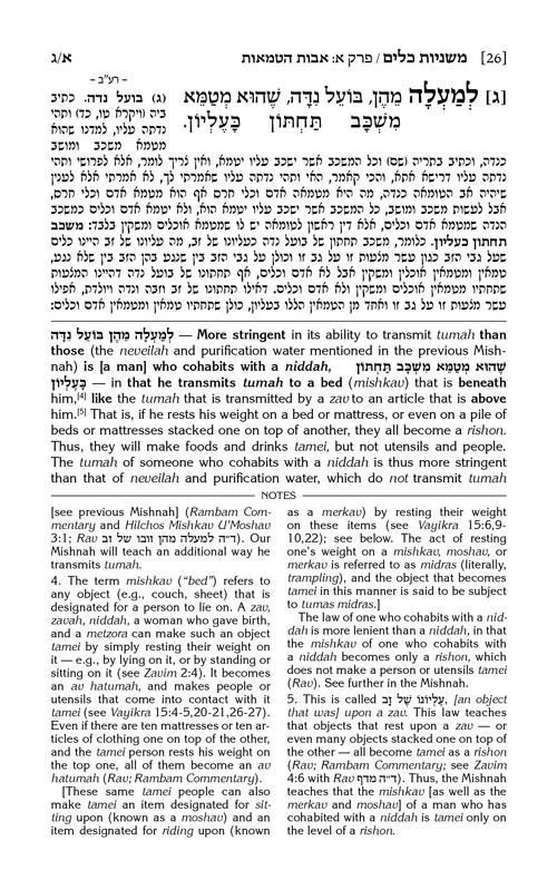 The Elkouby Family Pocket Size Edition of Schottenstein Mishnah Elucidated – תמונה 6