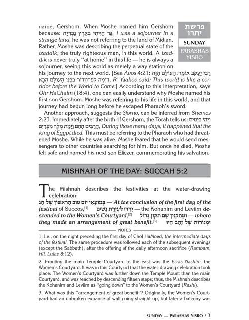 A DAILY DOSE OF TORAH SERIES 2 Vol 05: Weeks of Yisro through Tetzaveh – תמונה 3