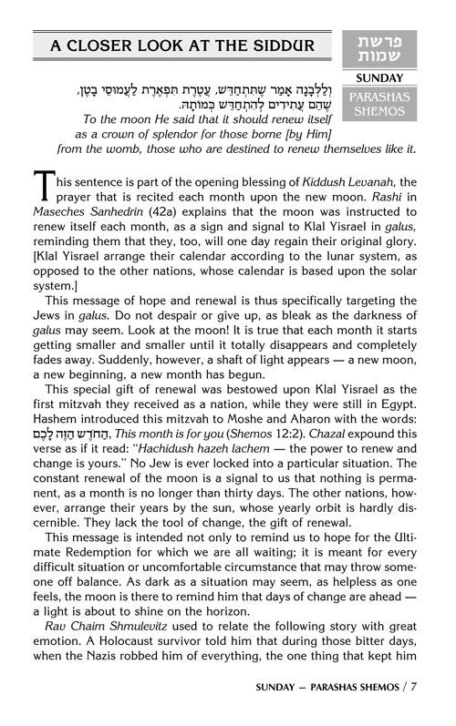 A DAILY DOSE OF TORAH SERIES 1 Vol 04: Weeks of Shemos through Beshalach – תמונה 7