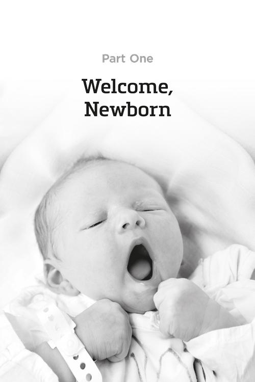 Baby’s First Year: The Jewish Mother’s Guide – תמונה 2