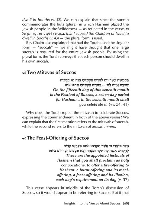Rav Chaim Kanievsky on Succos – תמונה 6