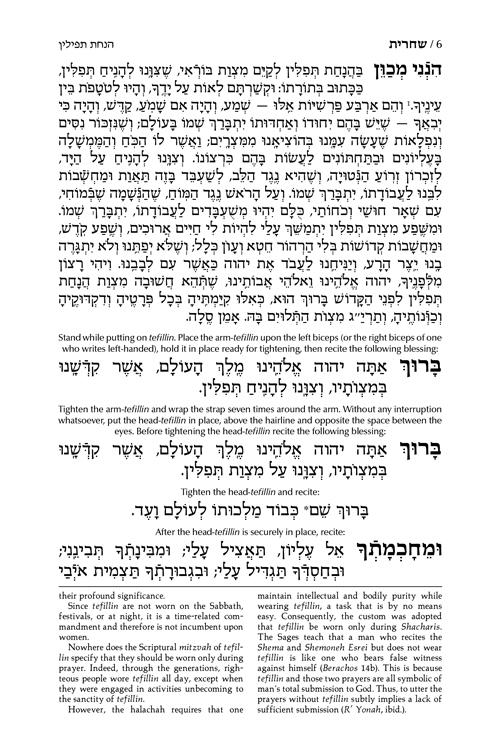 Siddur Hebrew/English: Complete Full Size – Sefard – White Leather – תמונה 6