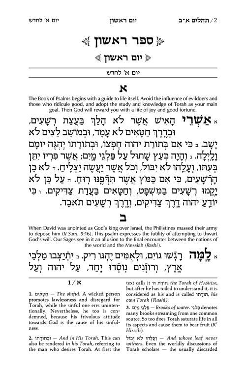Tehillim / Psalms 1 Vol Pocket Size — Hand-tooled Yerushalayim White Leather – תמונה 2