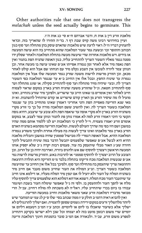 The Shabbos Home Volume 2 – תמונה 5