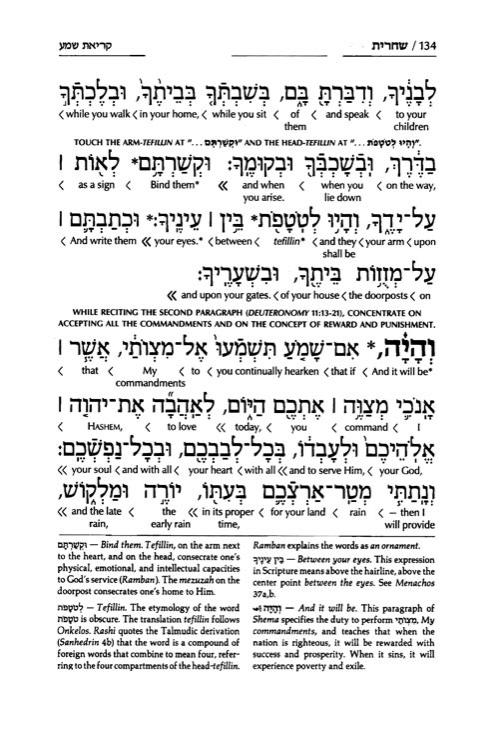 Siddur Interlinear Weekday Full Size – Sefard – Schottenstein Edition – Signature Leather – Navy – תמונה 4