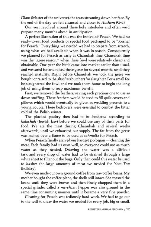 Daughters of Destiny – תמונה 6